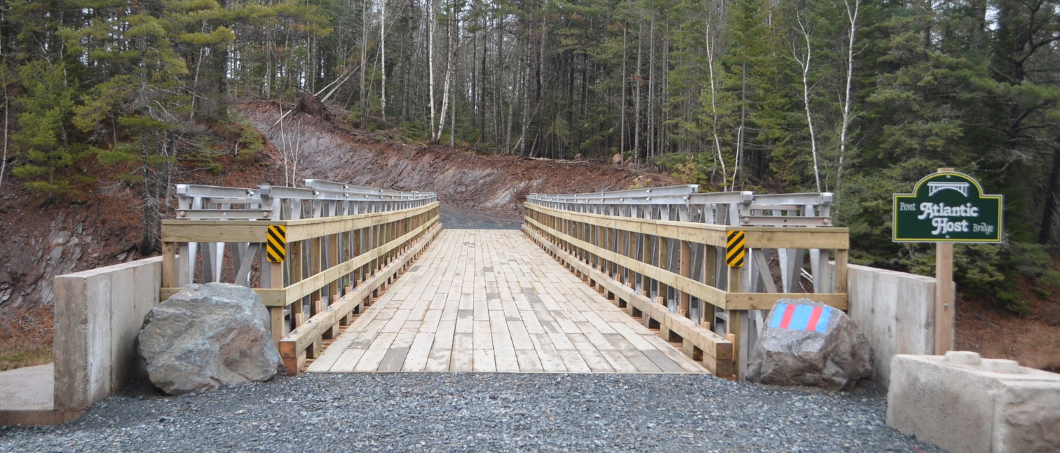 Acrow Bridge Modular Steel Structure Installed During Military Training Exercises in New Brunswick