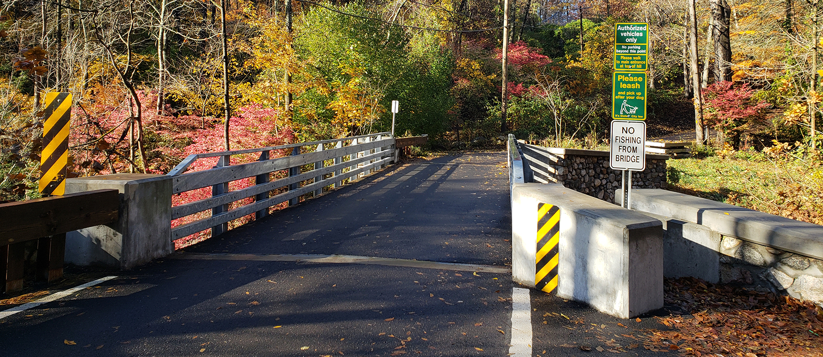 Beam Modular Bridge